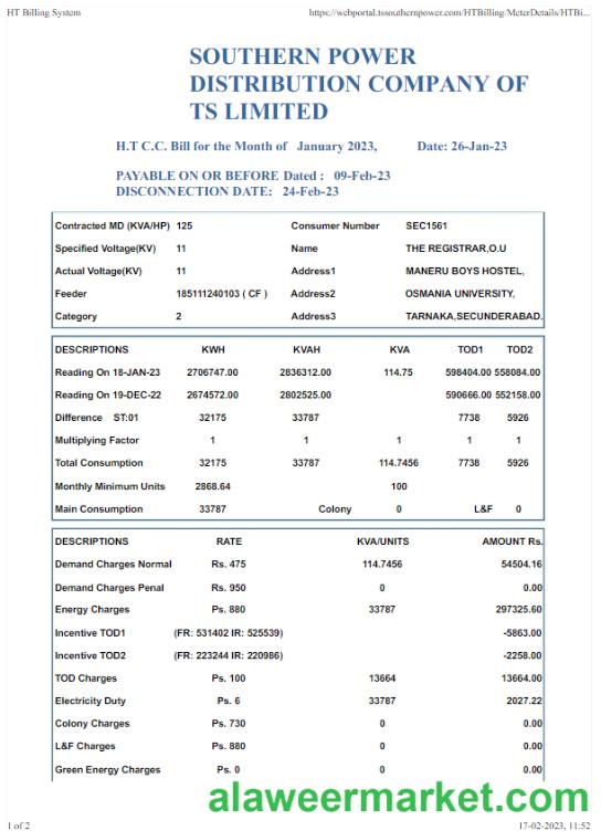 INDIA SOUTHERN POWER utility bill Word and PDF template